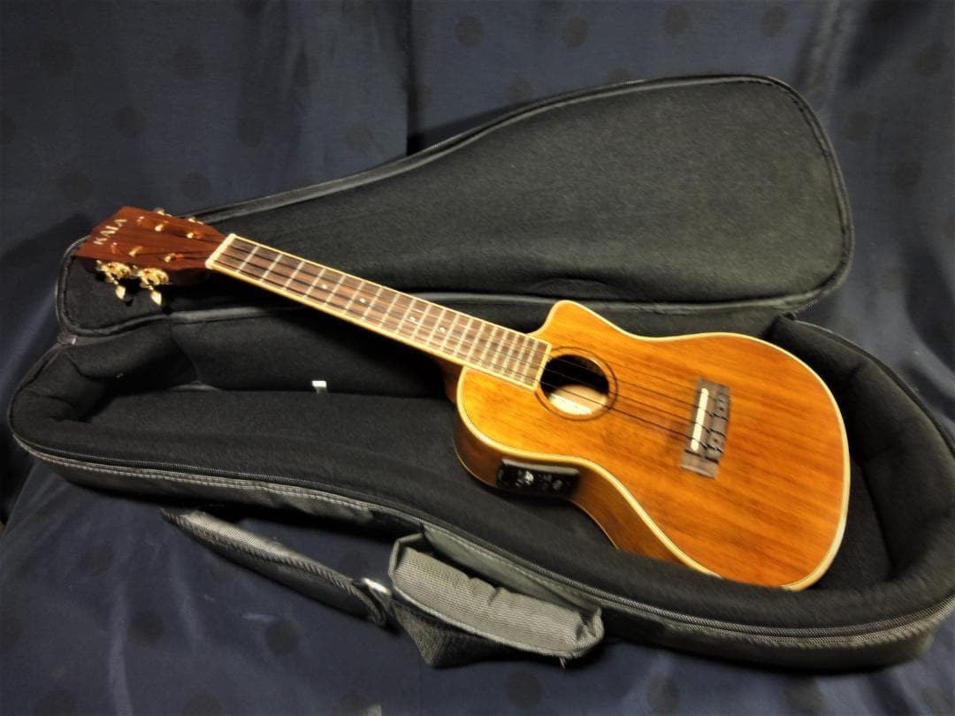 KALA KA-KCGE-C Concert Hawaiian Core Low-G Specification