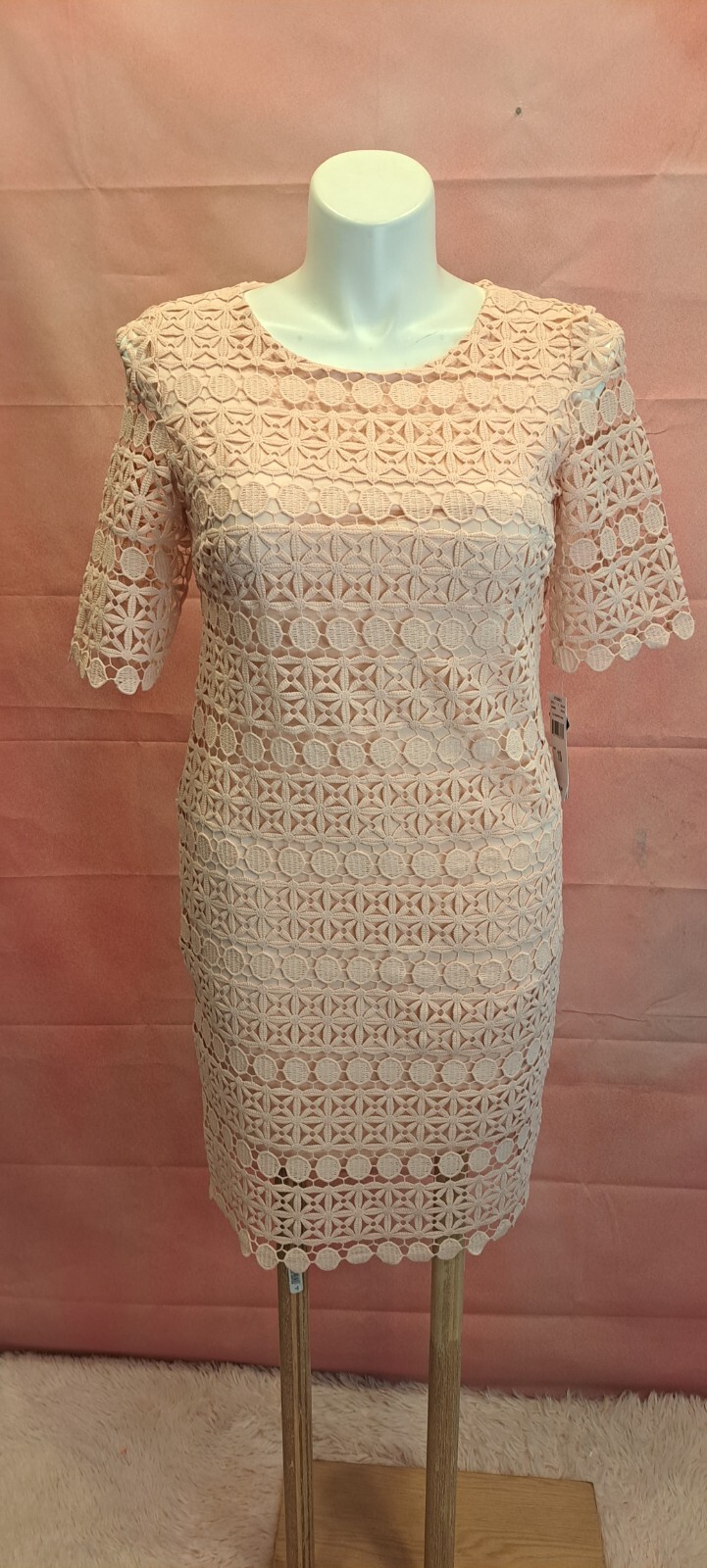 NWT Sandra Darren Women\'s Crochet Lace TRIM DRESS  Size: 10