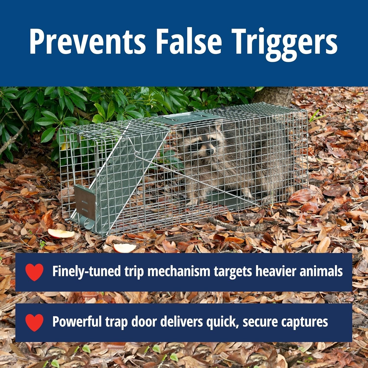 Havahart Large 1-Door Live Animal Trap for Raccoons, Cats, Bobcats, Beavers Havahart Large 1-Door Live Animal Trap for Raccoons, Cats, Bobcats, Beavers