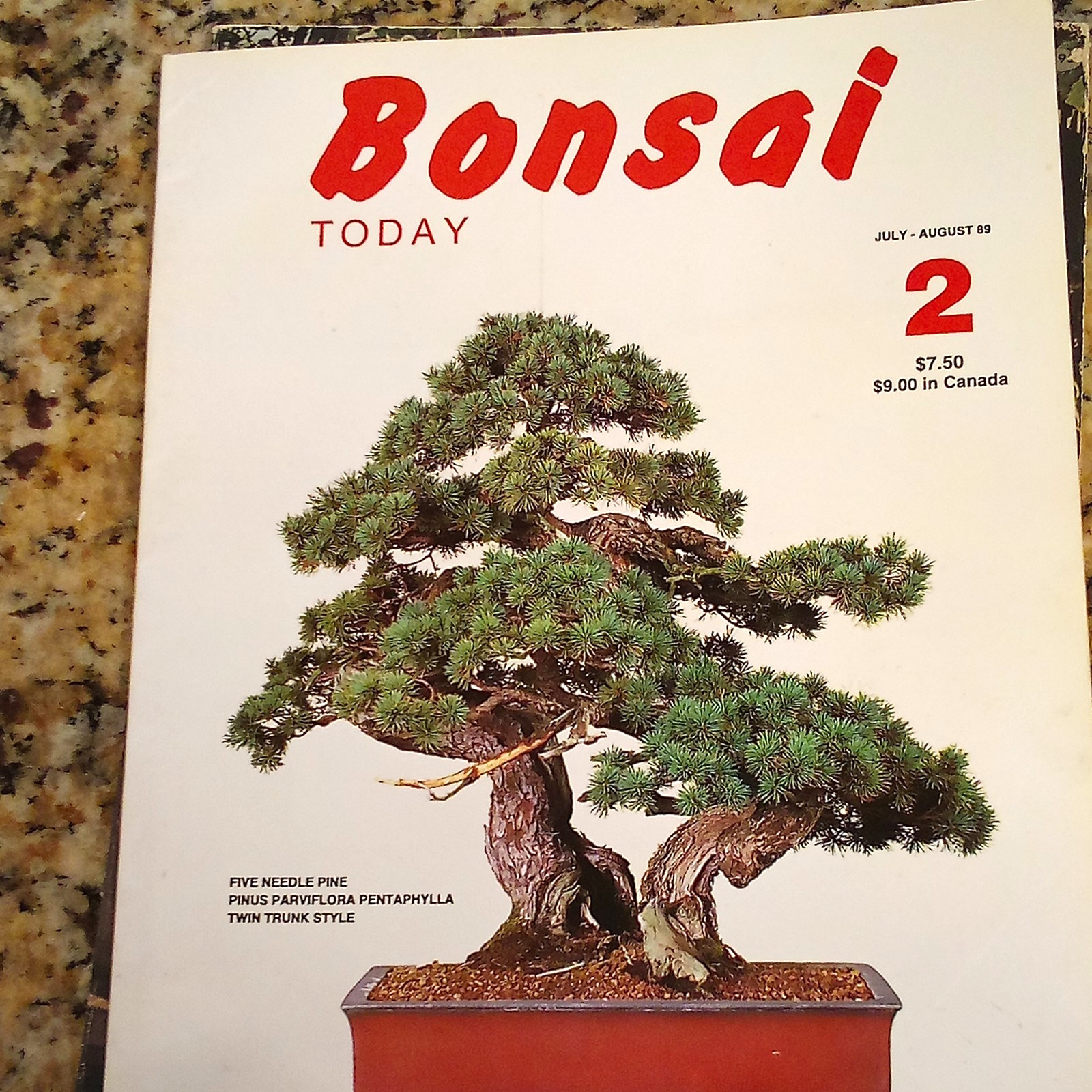 Bonsai Today Magazine July/August 1989 Issue 2 Illustrated English