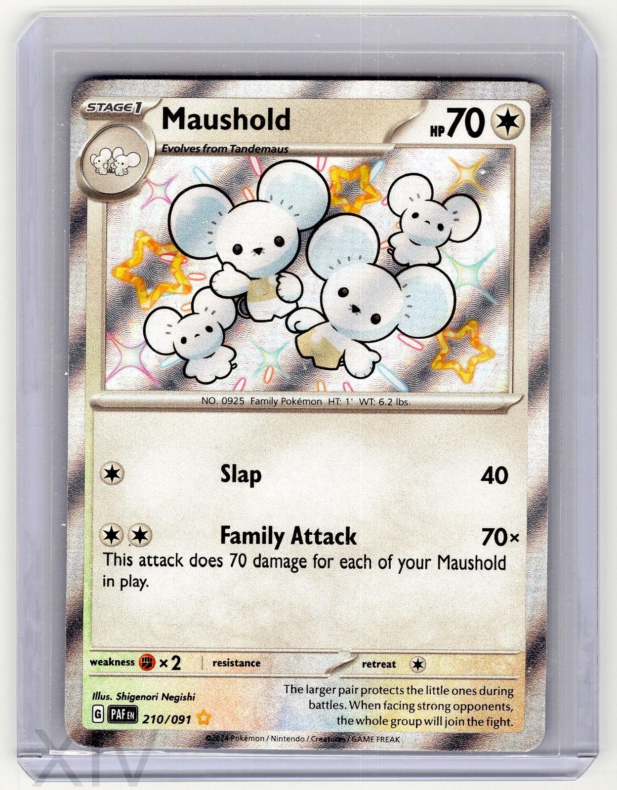 Maushold 210/091 Pokemon Paldean Fates Holo Shiny Rare Maushold 210/091 Pokemon Paldean Fates Holo Shiny Rare