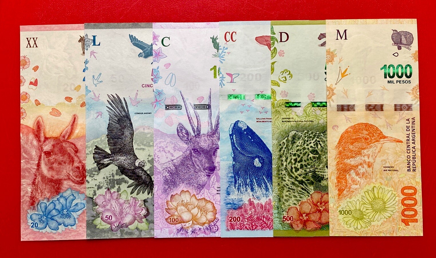 ARGENTINA BANKNOTES FAUNA SET* 20/50/100/200/500/1000 PESOS* ND 2016/2019* UNC ARGENTINA BANKNOTES FAUNA SET* 20/50/100/200/500/1000 PESOS* ND 2016/2019* UNC