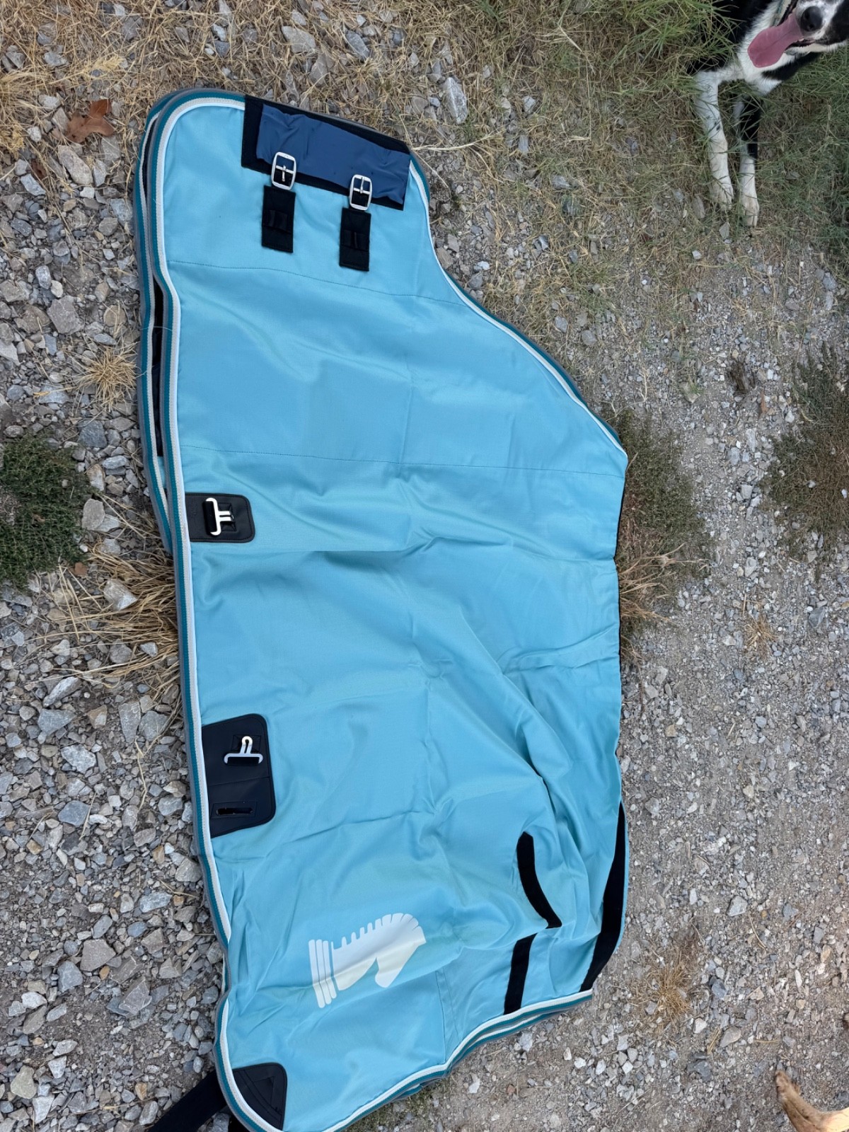 Classic Equine Stable Sheet size 69-71 baby blue, New in packaging Classic Equine Stable Sheet size 69-71 baby blue, New in packaging