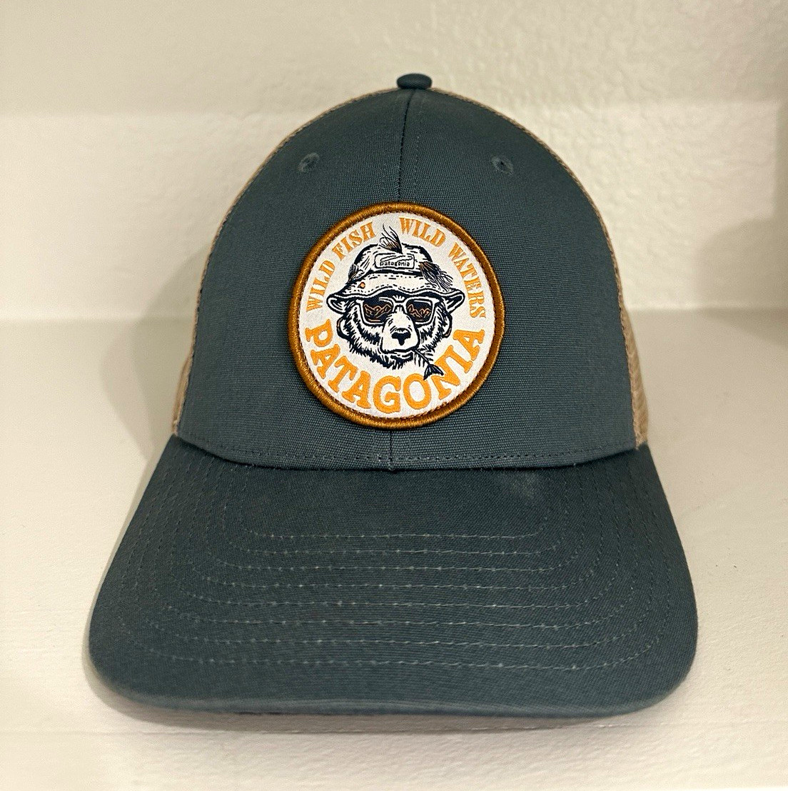 Patagonia Trucker Hat Mesh Back Adjustable Grizzly Take a Stand One Size