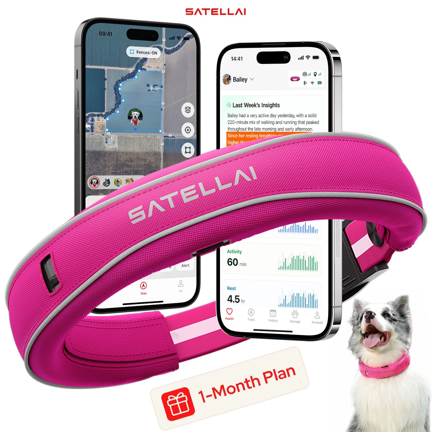 SATELLAI GPS Dog Training Collar Virtual Fence Escape Prevention Real Time GPS