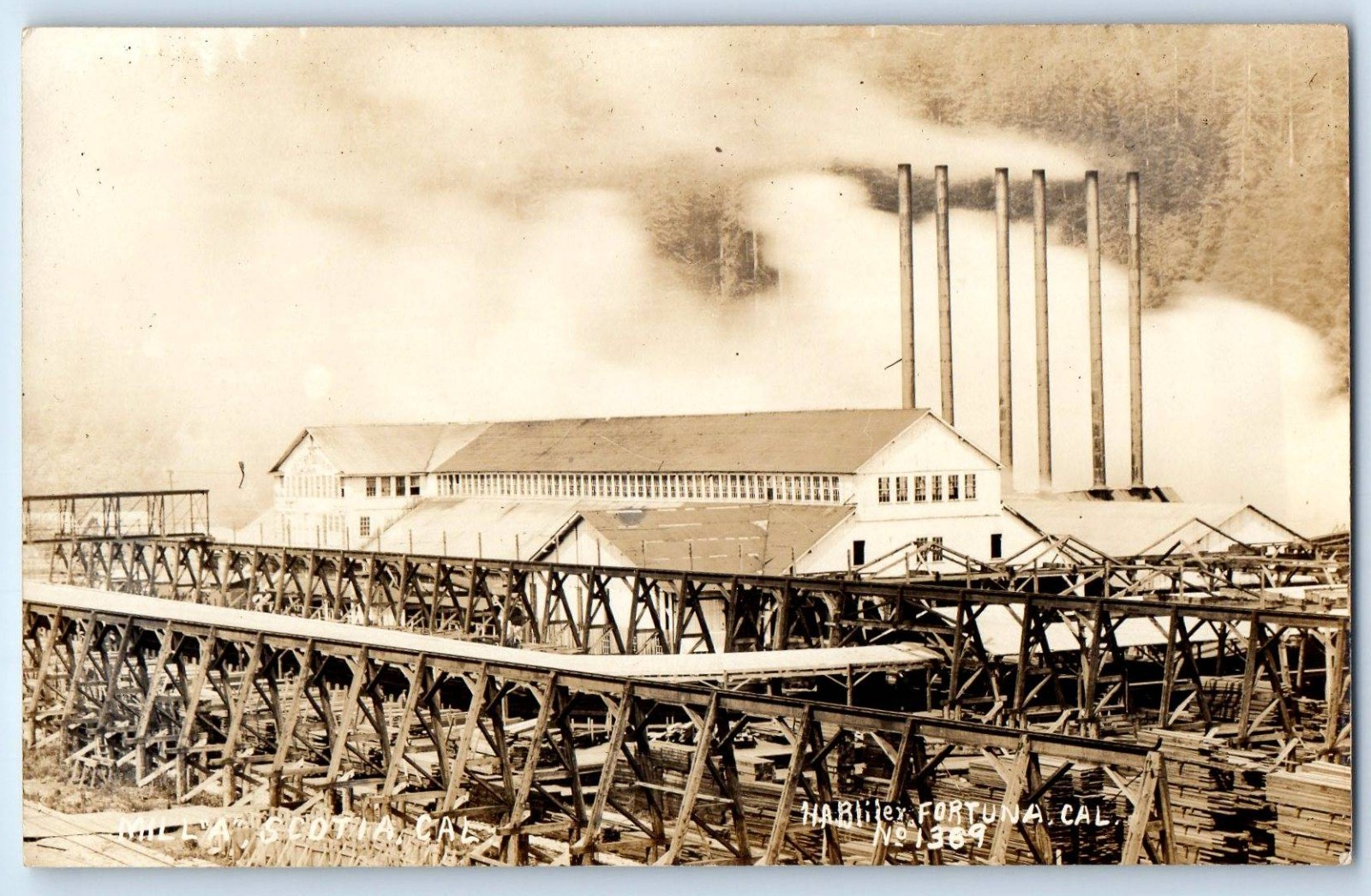 c1910's View Of Lumber Mill Scotia California CA RPPC Photo Antique Postcard
