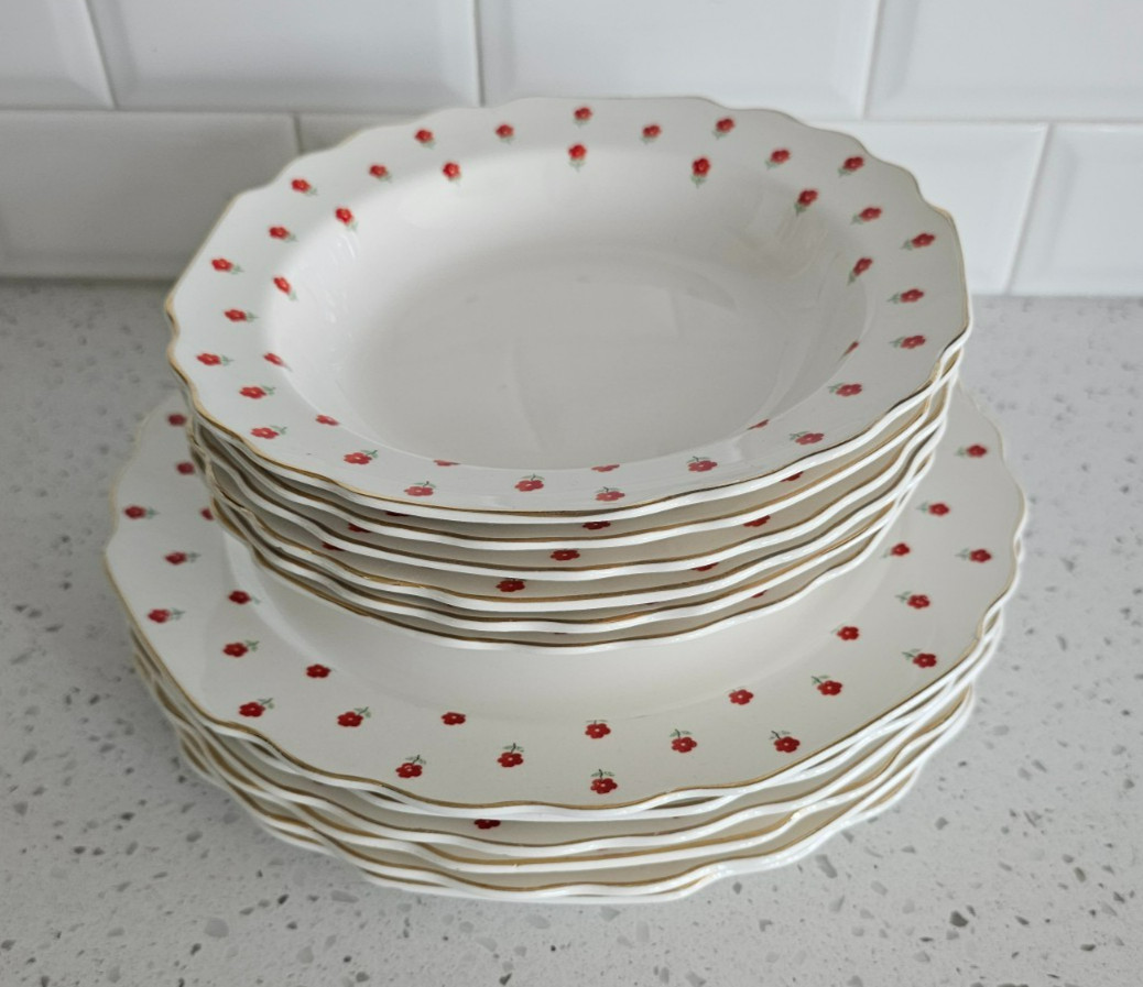 W. S. George Blushing Rose Lunch Dinner Plates Set Of 6 and 6 Bowls