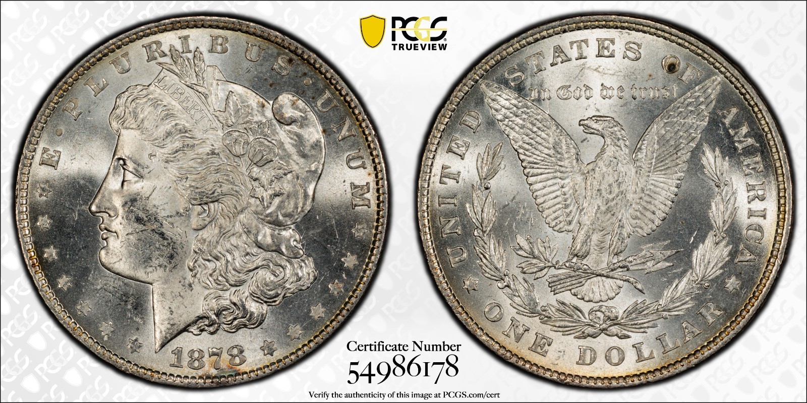 1878 8TF MORGAN $1 PCGS MS62 JUST GRADED 1ST YEAR