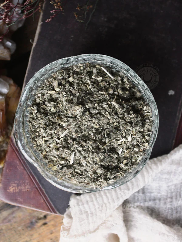 White Horehound | Marrubium vulgare Dried Herb Wicca/ Witchcraft 1/4 oz White Horehound | Marrubium vulgare Dried Herb Wicca/ Witchcraft 1/4 oz