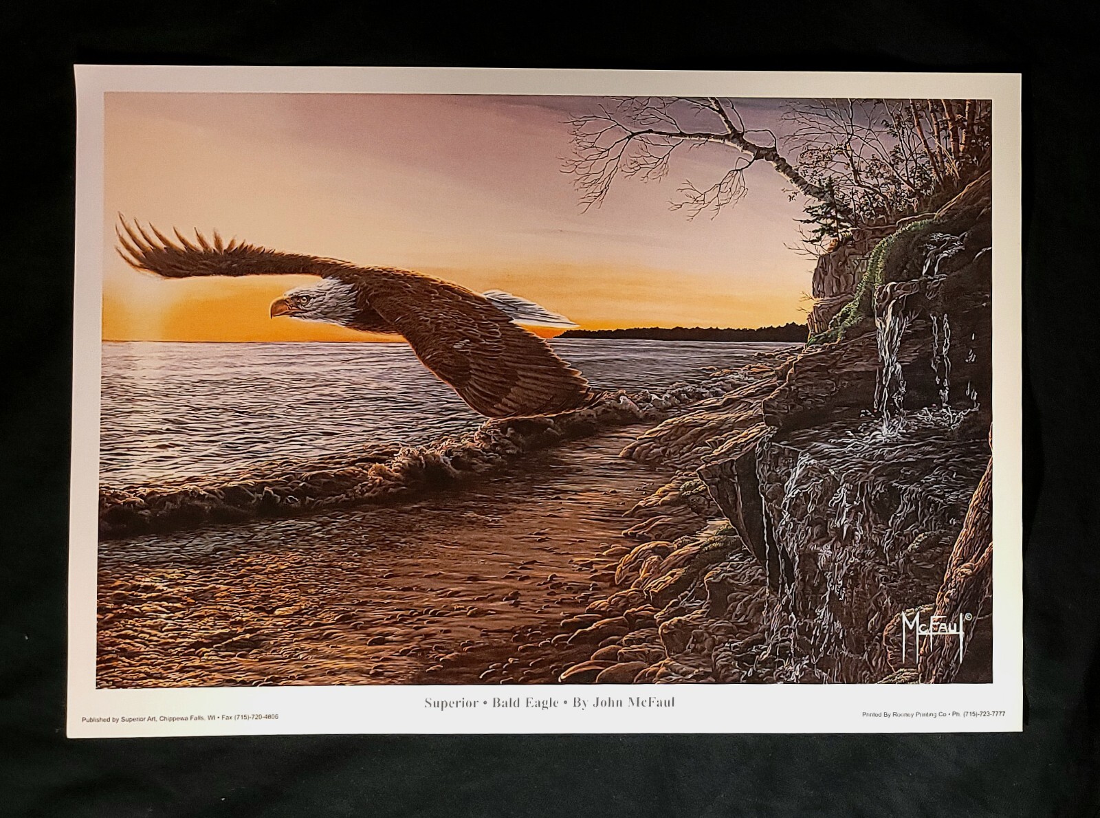 Bald Eagle Art, Signed Print, Lake Superior, MI, Upper Peninsula, Porcupine Mts
