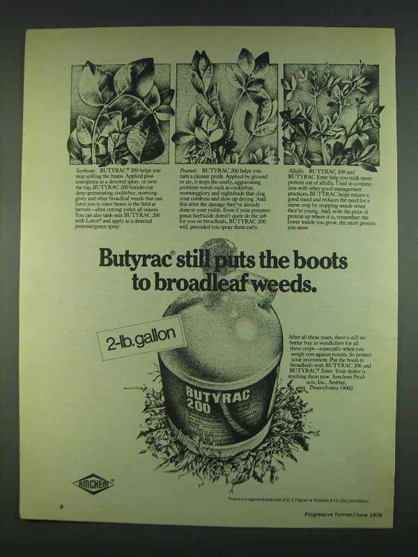 1978 Amchem Butyrac 200 Weedkiller Ad - Broadleaf Weeds