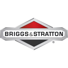 Briggs & Stratton Tiny Scan | 19626 Briggs & Stratton Tiny Scan | 19626