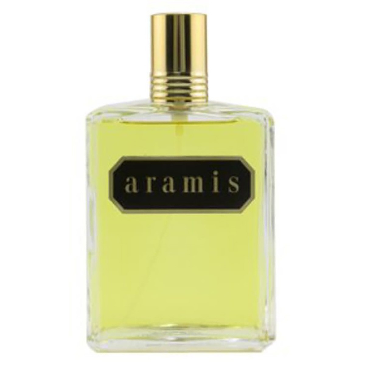 Aramis Men\'s Classic EDT Spray 8.1 oz Fragrances 022548386231