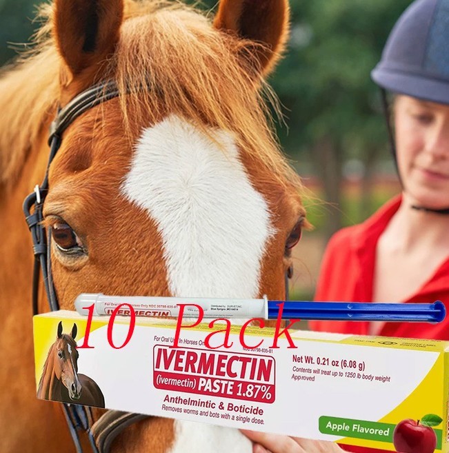 10 Pack New Paste Wormer Horse Dewormer Apple Flavor US  EXP 2028