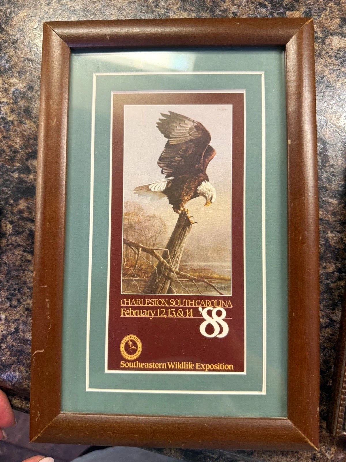 Southeastern Wildlife Exposition Framed Eagle Print, Landscape 7 x 19 in