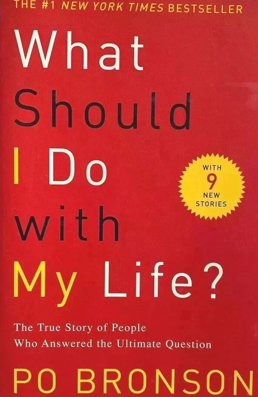 What should I do with my life? career book personal growth paperback like new