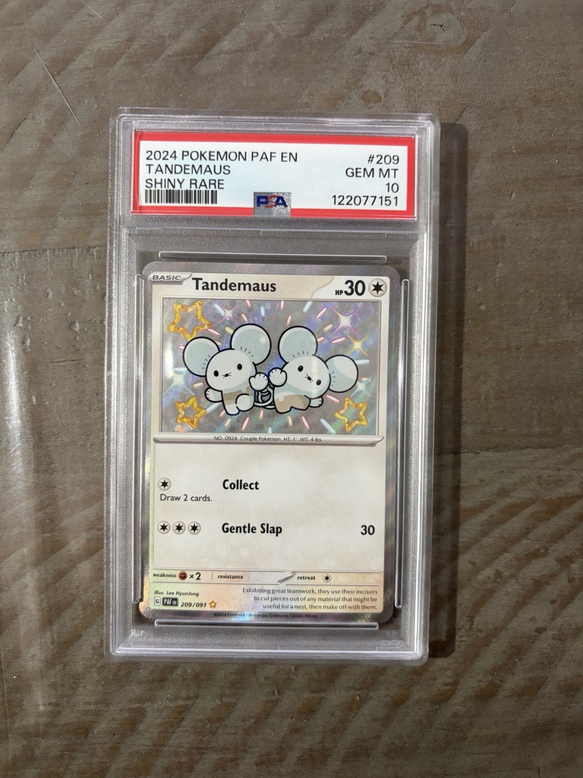 2024 POKEMON PAF EN-PALDEAN FATES SHINY RARE #209 TANDEMAUS PSA 10 2024 POKEMON PAF EN-PALDEAN FATES SHINY RARE #209 TANDEMAUS PSA 10