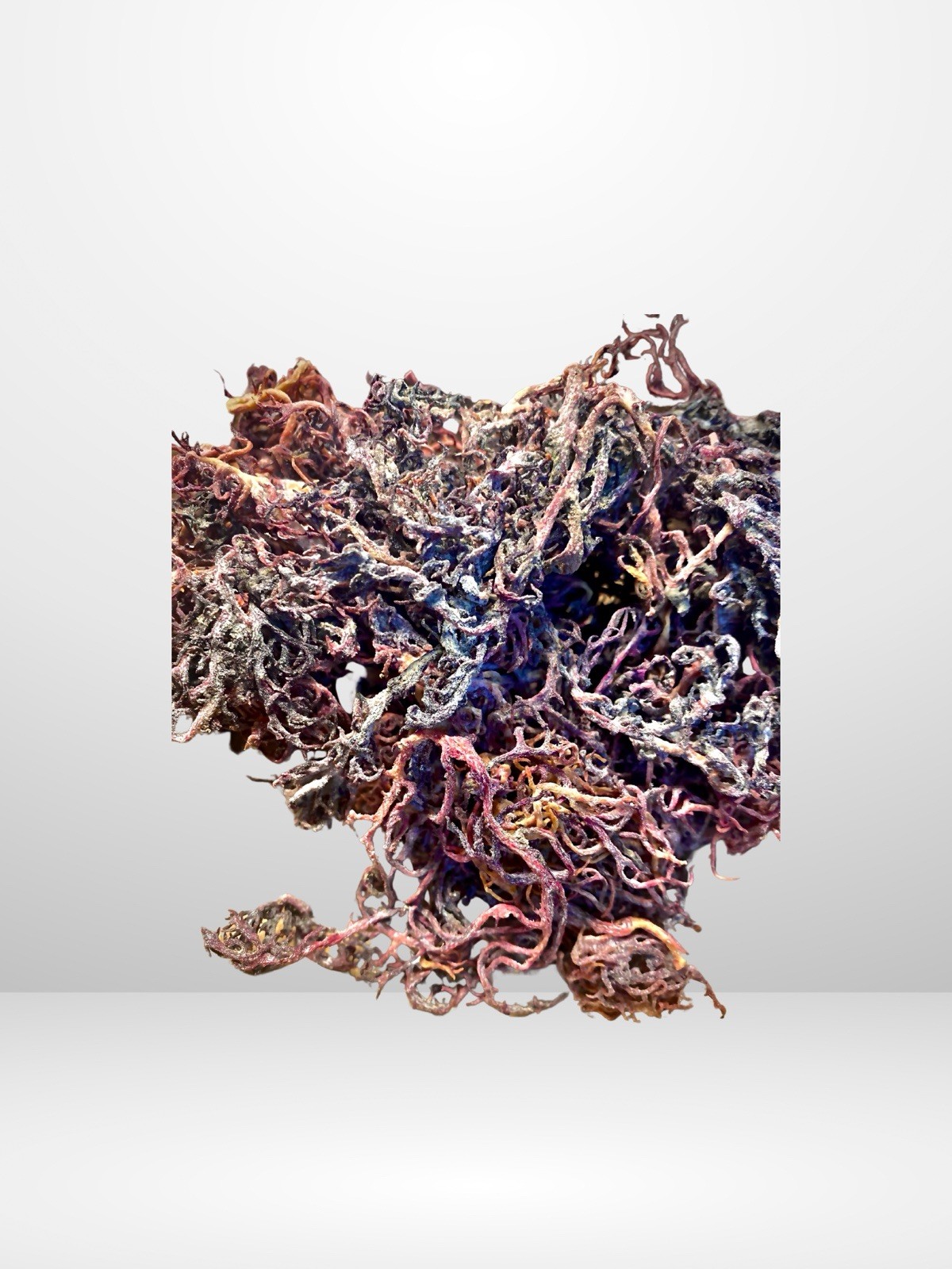 Wild Purple Sea Moss Raw Dried Eucheuma Cottonii Irish Moss 1lb Jamaica