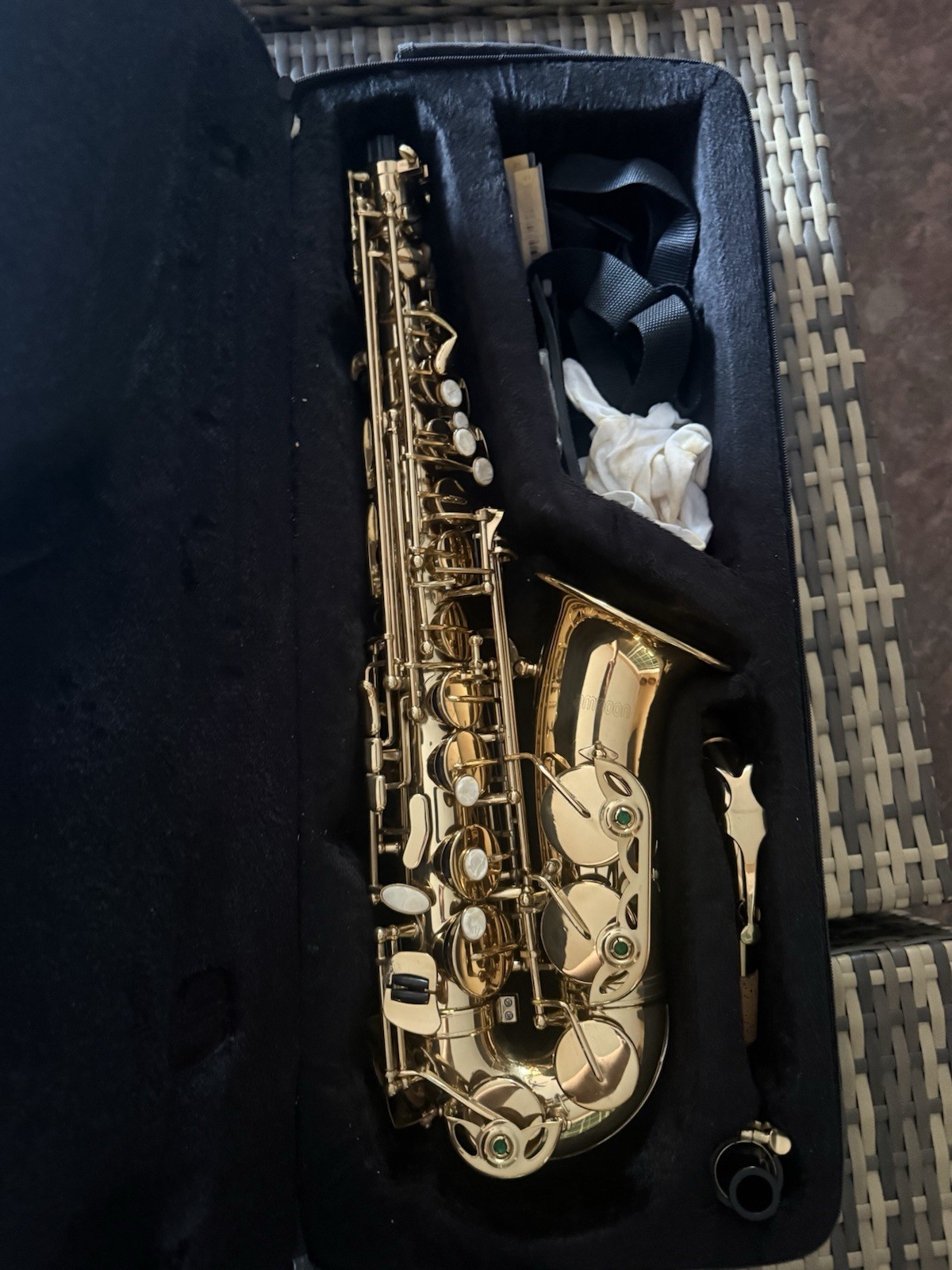 Gold Lacquered Brass Eb Alto Saxophone Closed Hole w/ Case, Pearl Inlay ha
