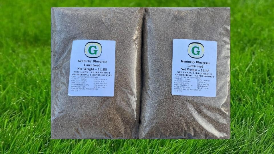 Kentucky Bluegrass Grass Seed - 6 lbs - Direct from Grower - Beautiful Lawn