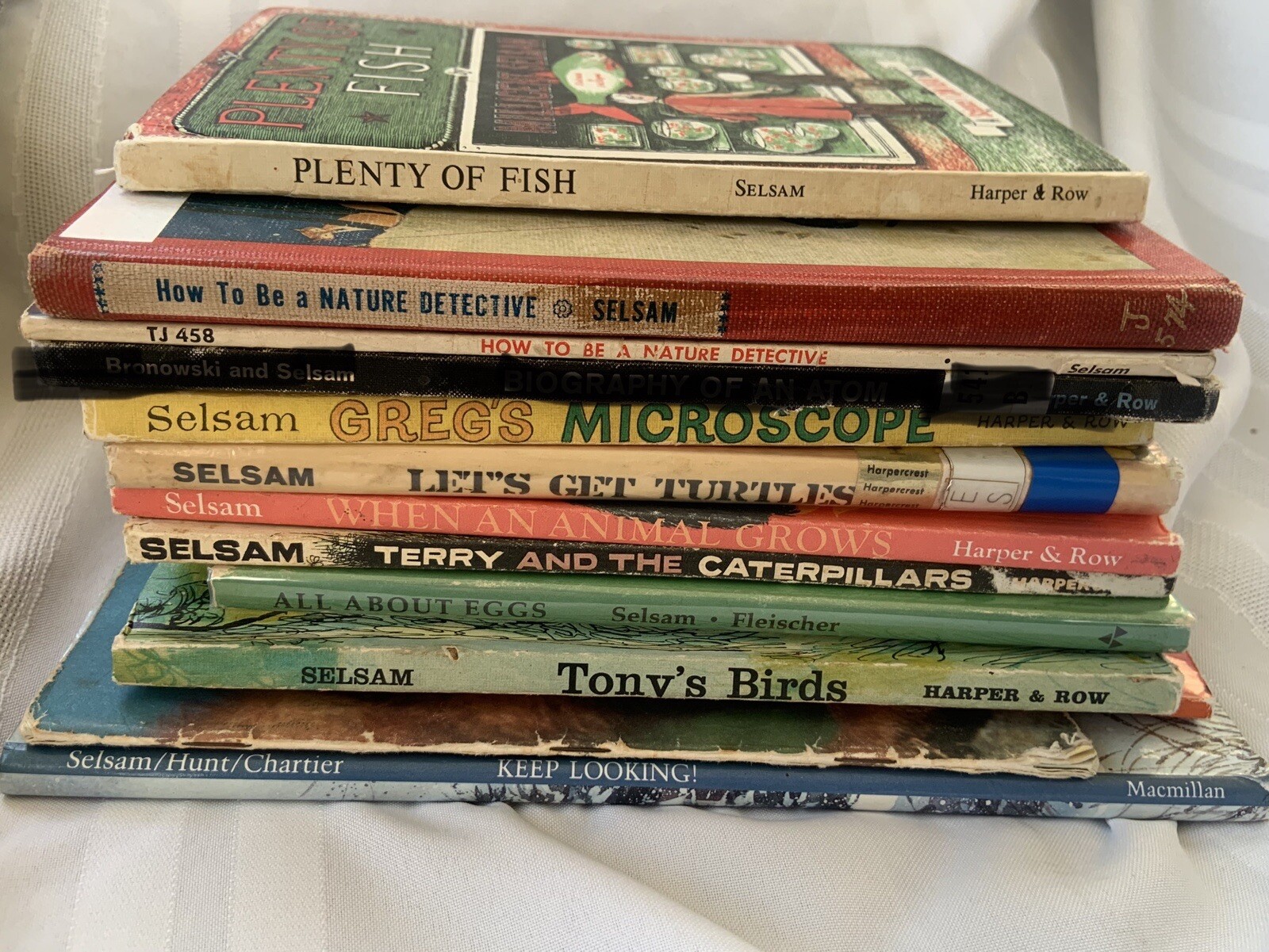 LOT 10 Vintage Living Science Millicent Selsam Turtle Terry 