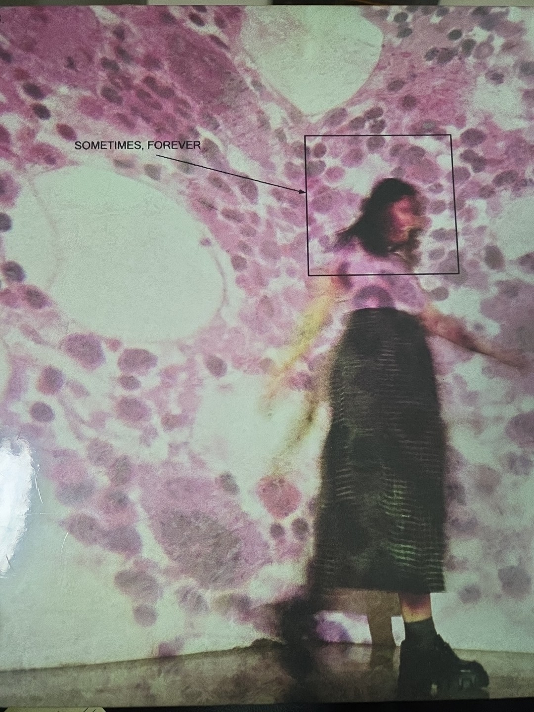 Sometimes, Forever by Soccer Mommy (Record, 2022) Brand New Sealed Sometimes, Forever by Soccer Mommy (Record, 2022) Brand New Sealed
