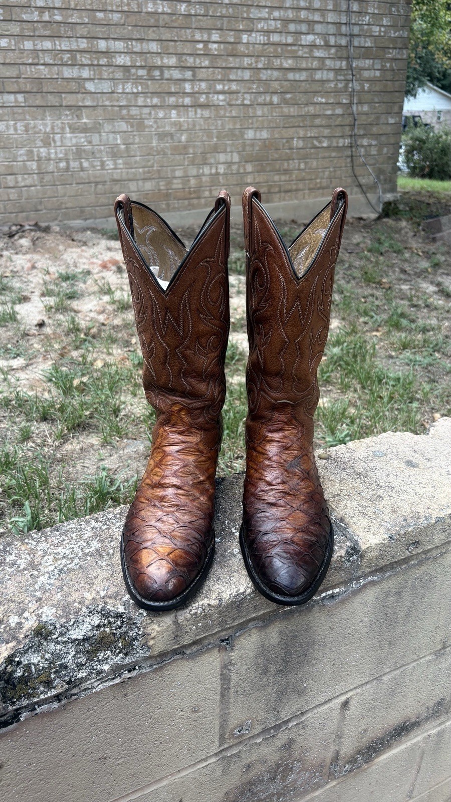 Dan Post Ant Eater 🐜 “Print” Leather Western Cowboy Boots Men Size 10D