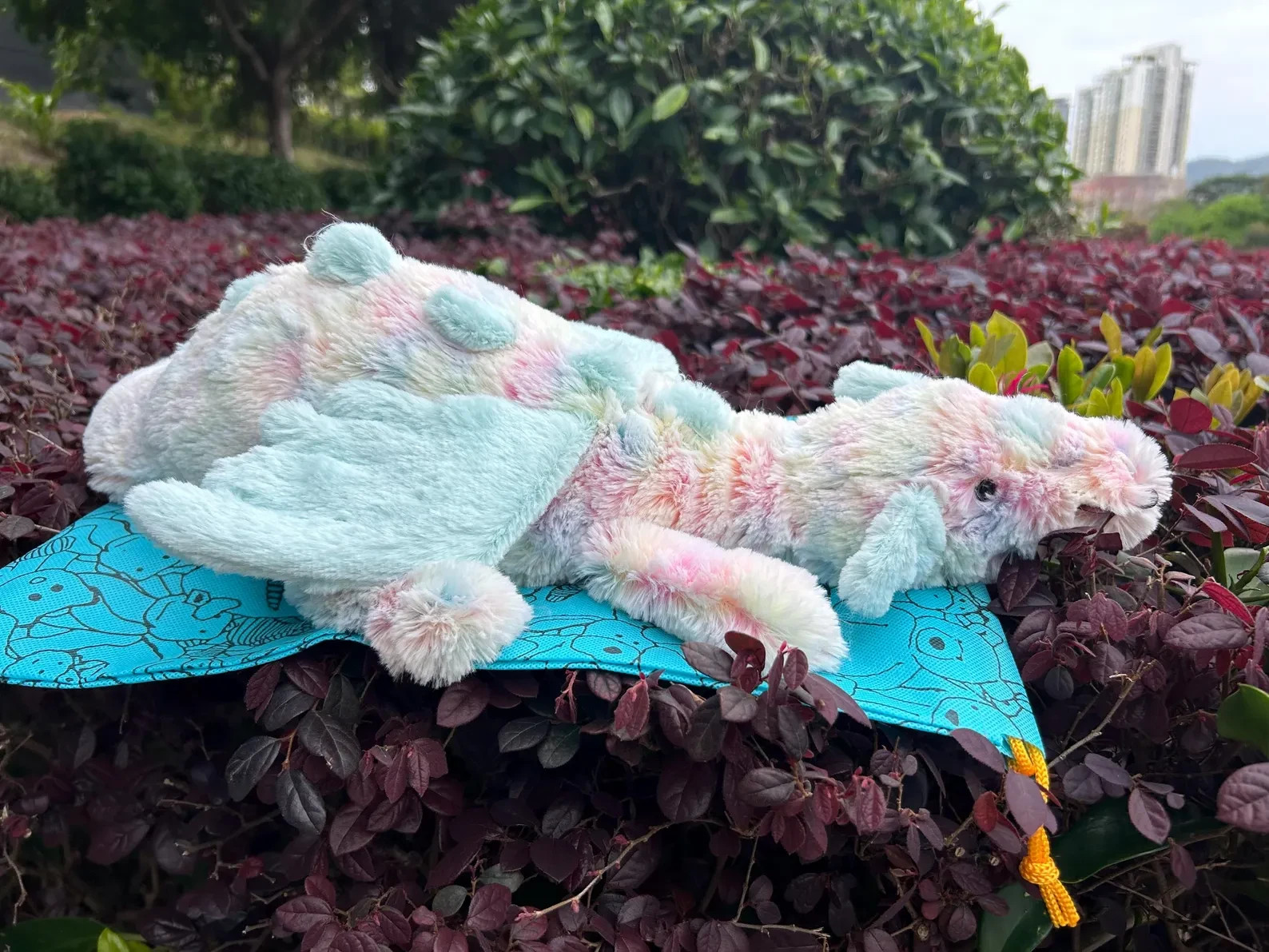 Large 50cm Jellycat Lazuila Dragon - Authentic + New