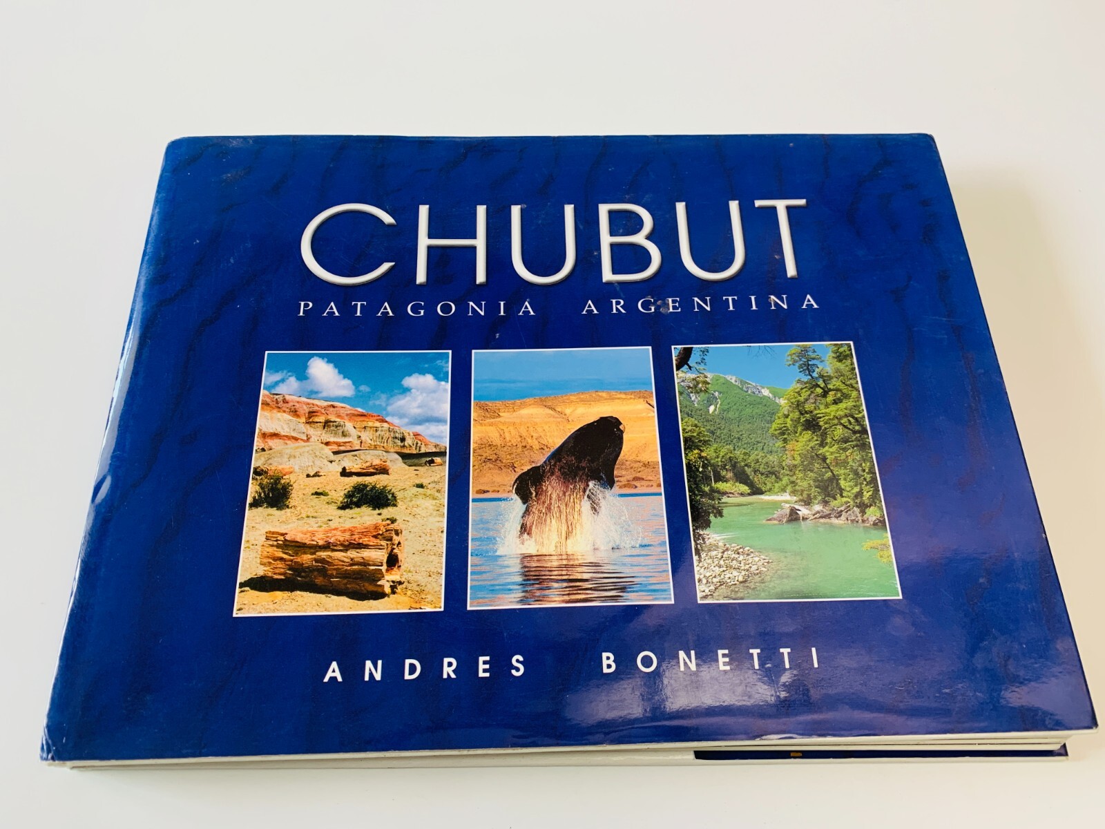 CHUBUT Patagonia Argentina RARE Photography Wildlife Nature RARE Vtg 2000