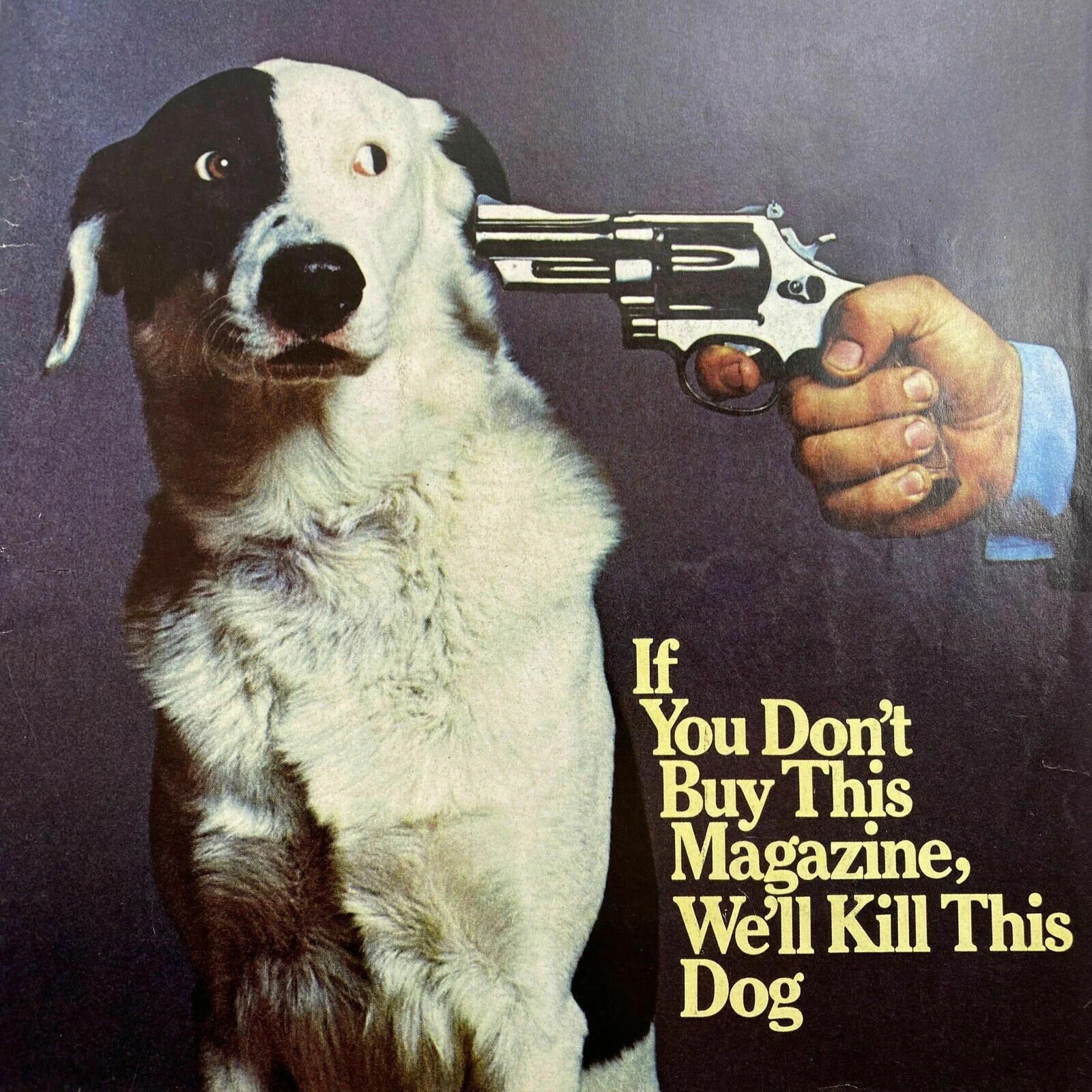 NATIONAL LAMPOON MAGAZINE 246 Issue Collection Dvd\'s 