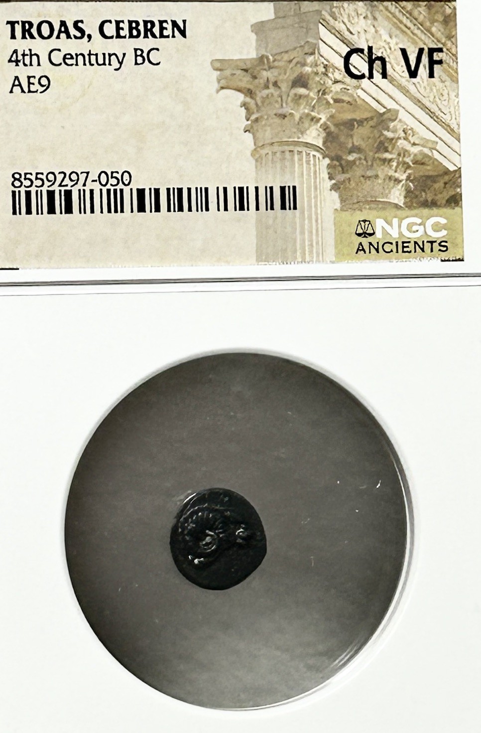 Troas Cebren AE9 4th Century BC Apollo Head of Ram NGC Ch VF