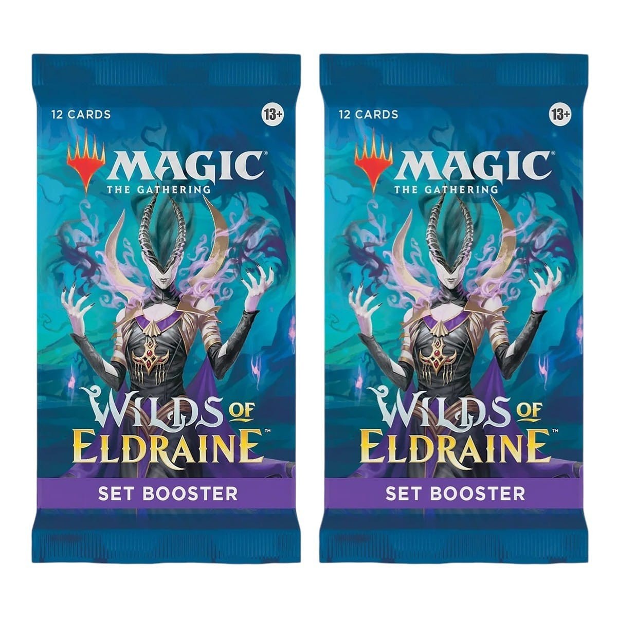 2023 2 x Sealed Pack Magic the Gathering MTG Wilds of Eldraine Set Booster