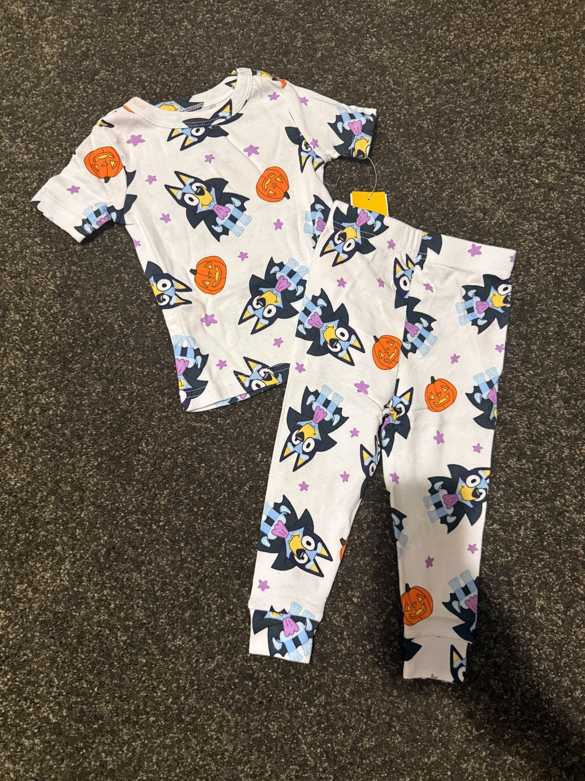 Bluey 2 piece Toddler pajamas