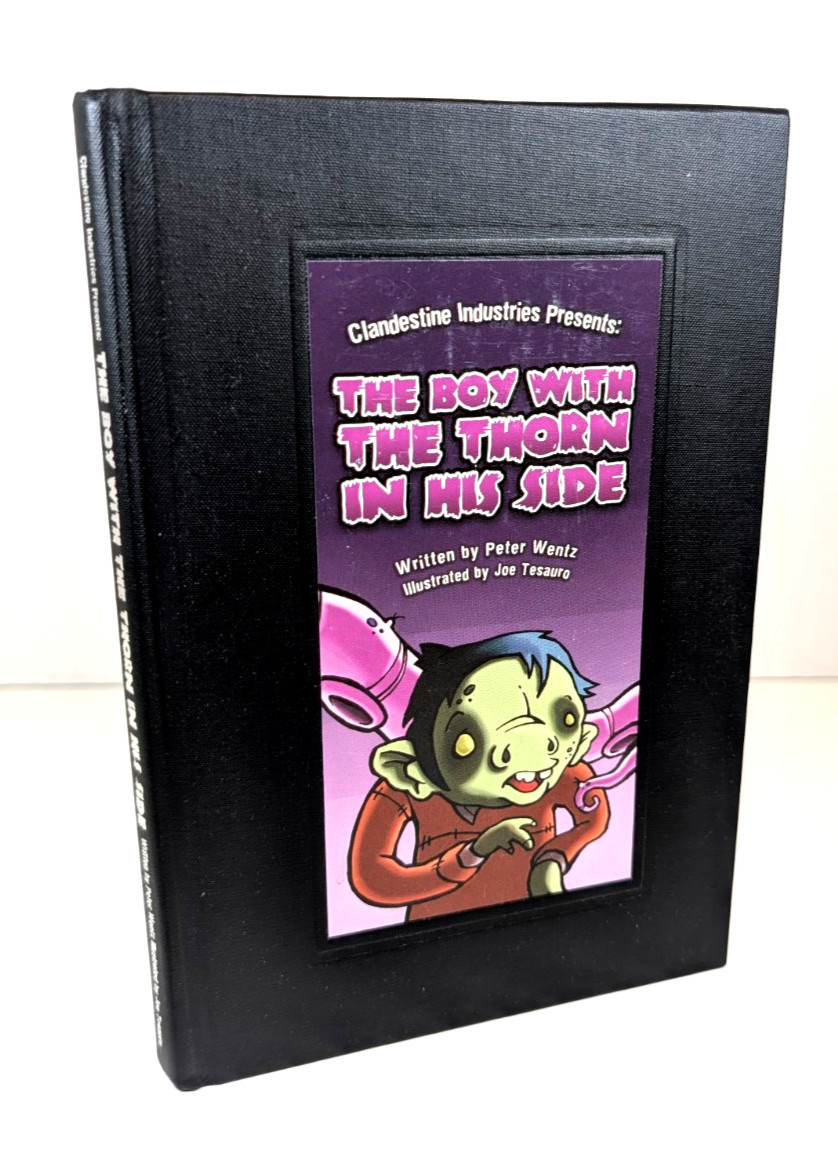 The Boy with the Thorn in his Side by Peter Wentz/joe Tesauro HC (Fall Out Boy)