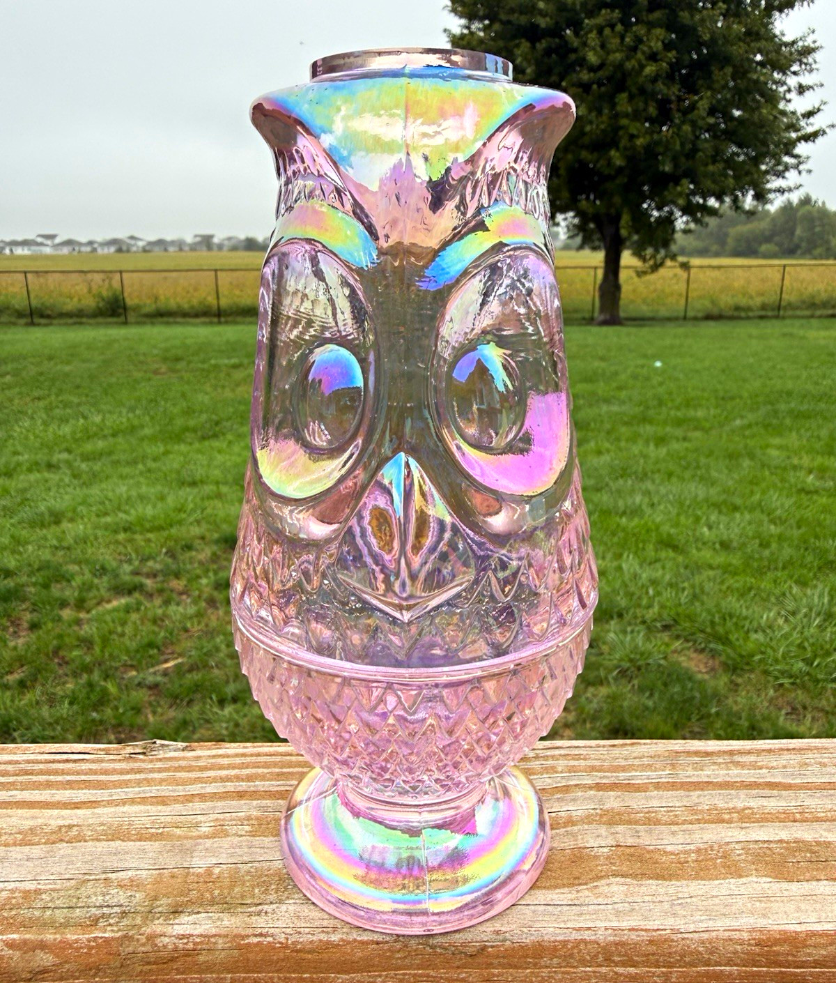 Rose Carnival Owl Fairy Lamp By Mosser Glass