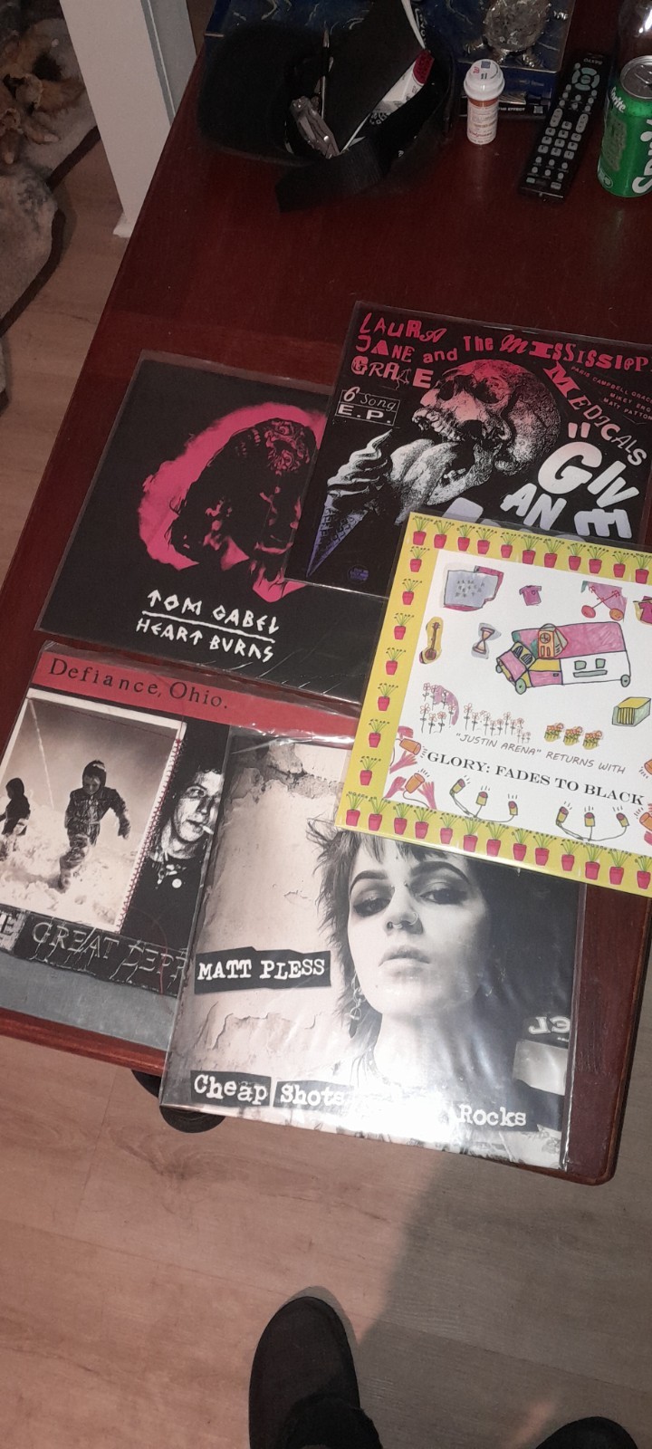 Folk Punk Vinyl you pick Mischief brew pat bunny against me