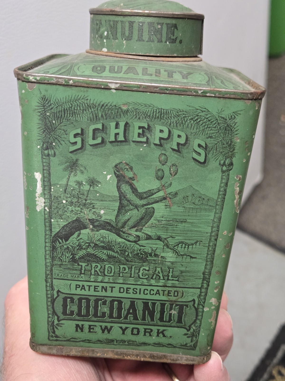 Antique 1870\'s Schepps Cocoanut Lithographed Green Spice Tin NY Monkey Graphics