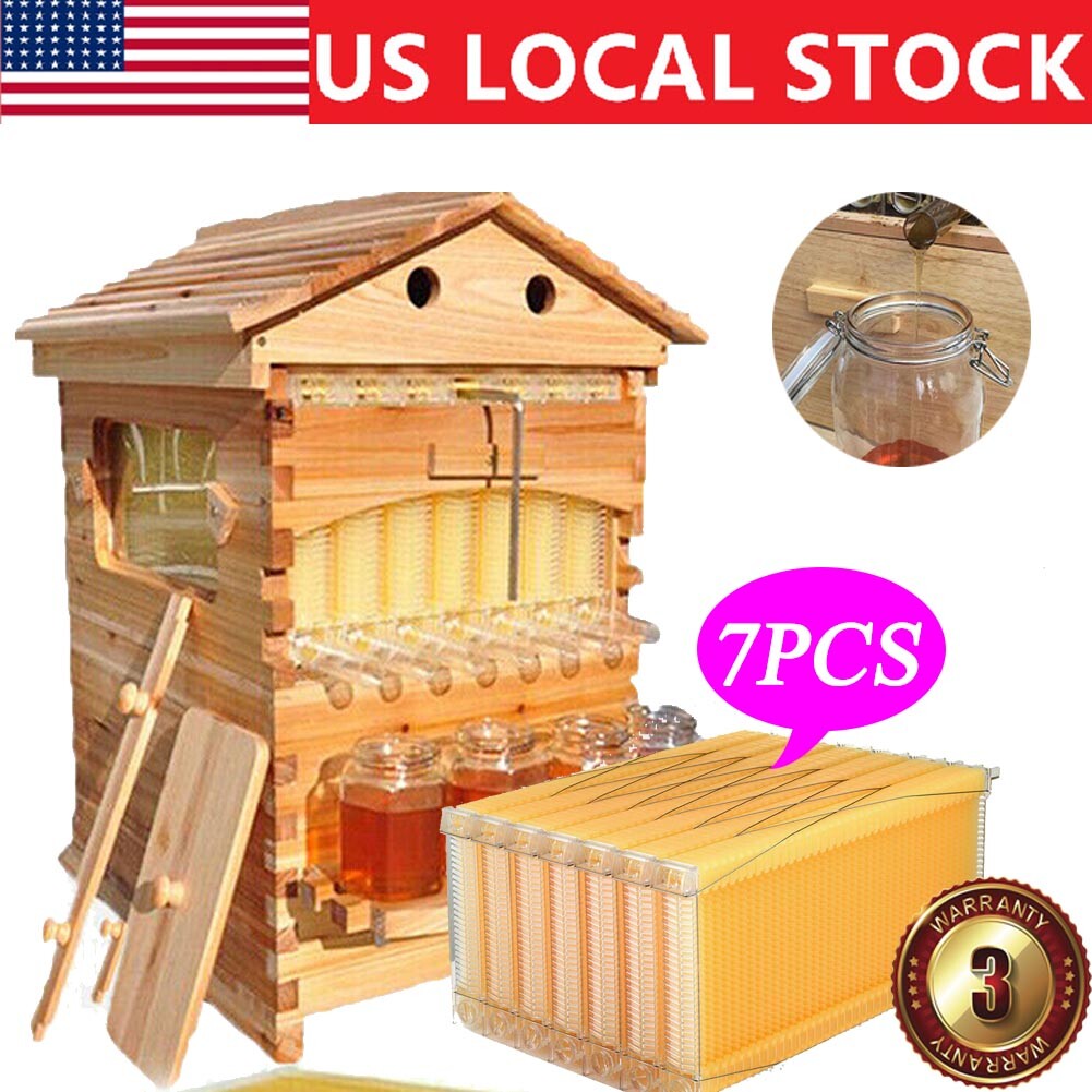 7Pcs Auto Seeping Honey Hive Beehive Frames + Beekeeping Cedarwood House Boxes