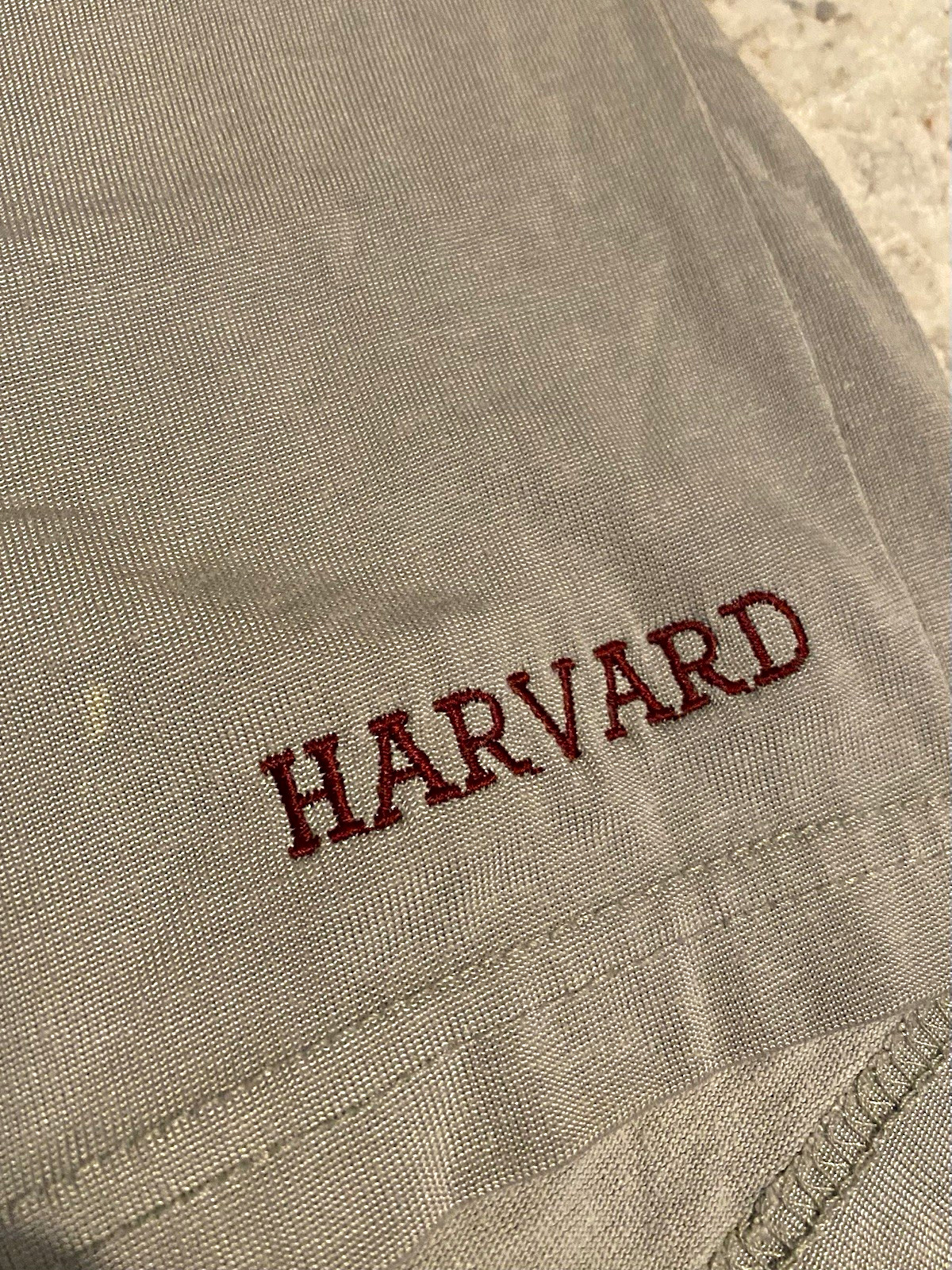 Vintage Harvard 1980’s Champion Grey Gym Shorts Size M