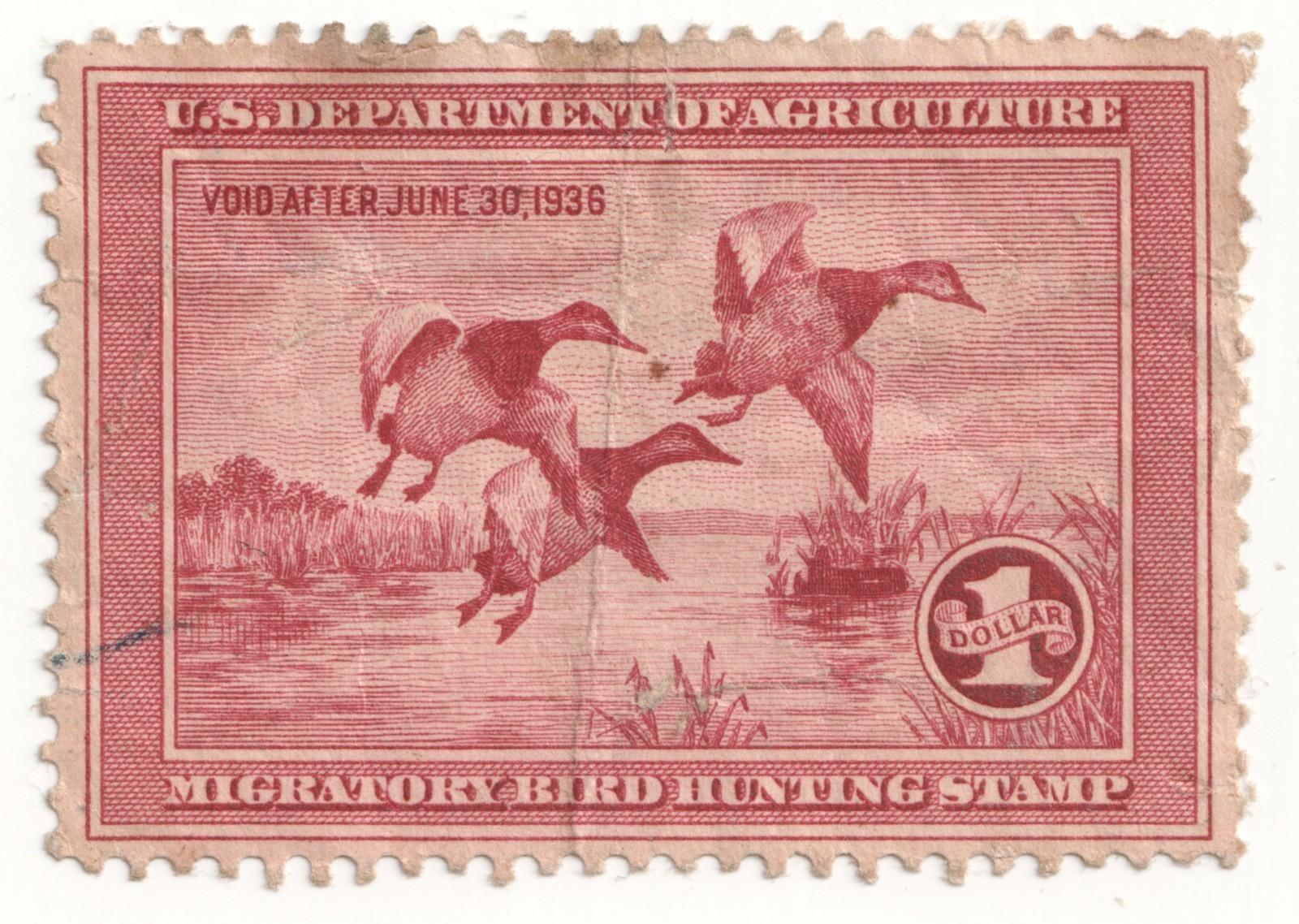 US Dept of Agriculture - Migratory Bird Hunting Stamp One Dollar RARE - Creased