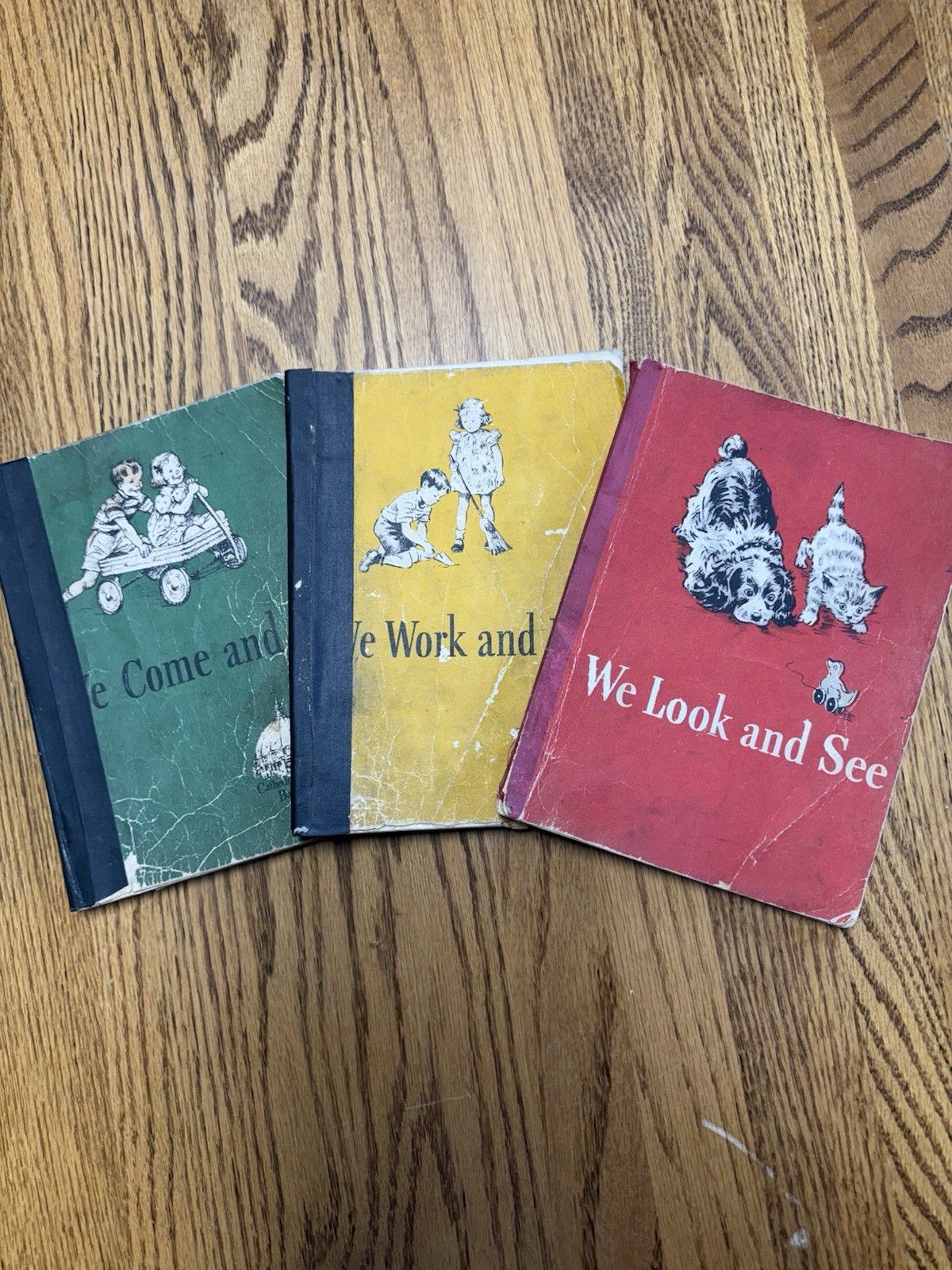 DICK & JANE -  WE COME & GO, WE WORK & PLAY, WE LOOK & SEE