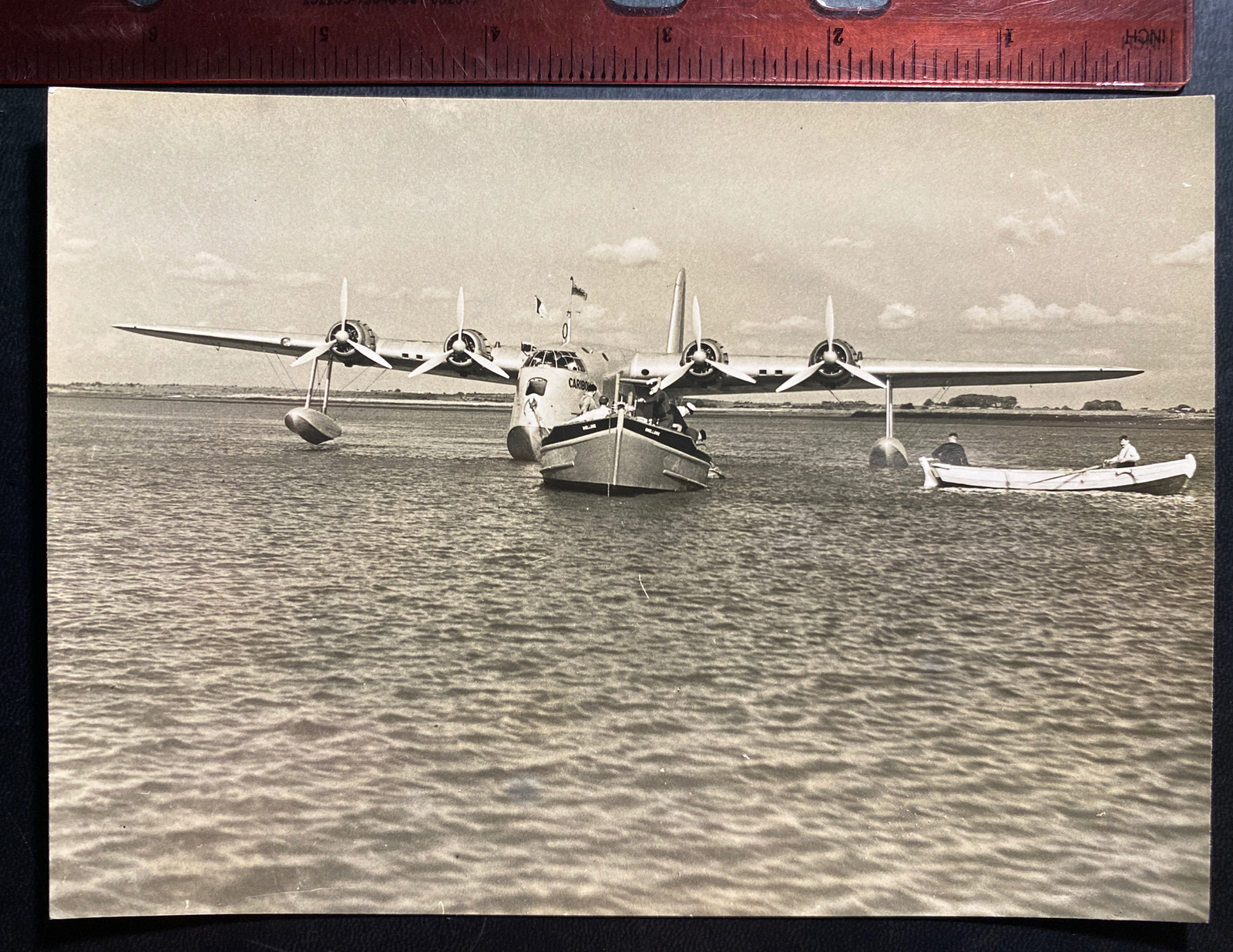 Original Independent Newspaper Dublin Photo Caribou At Foynes harbour