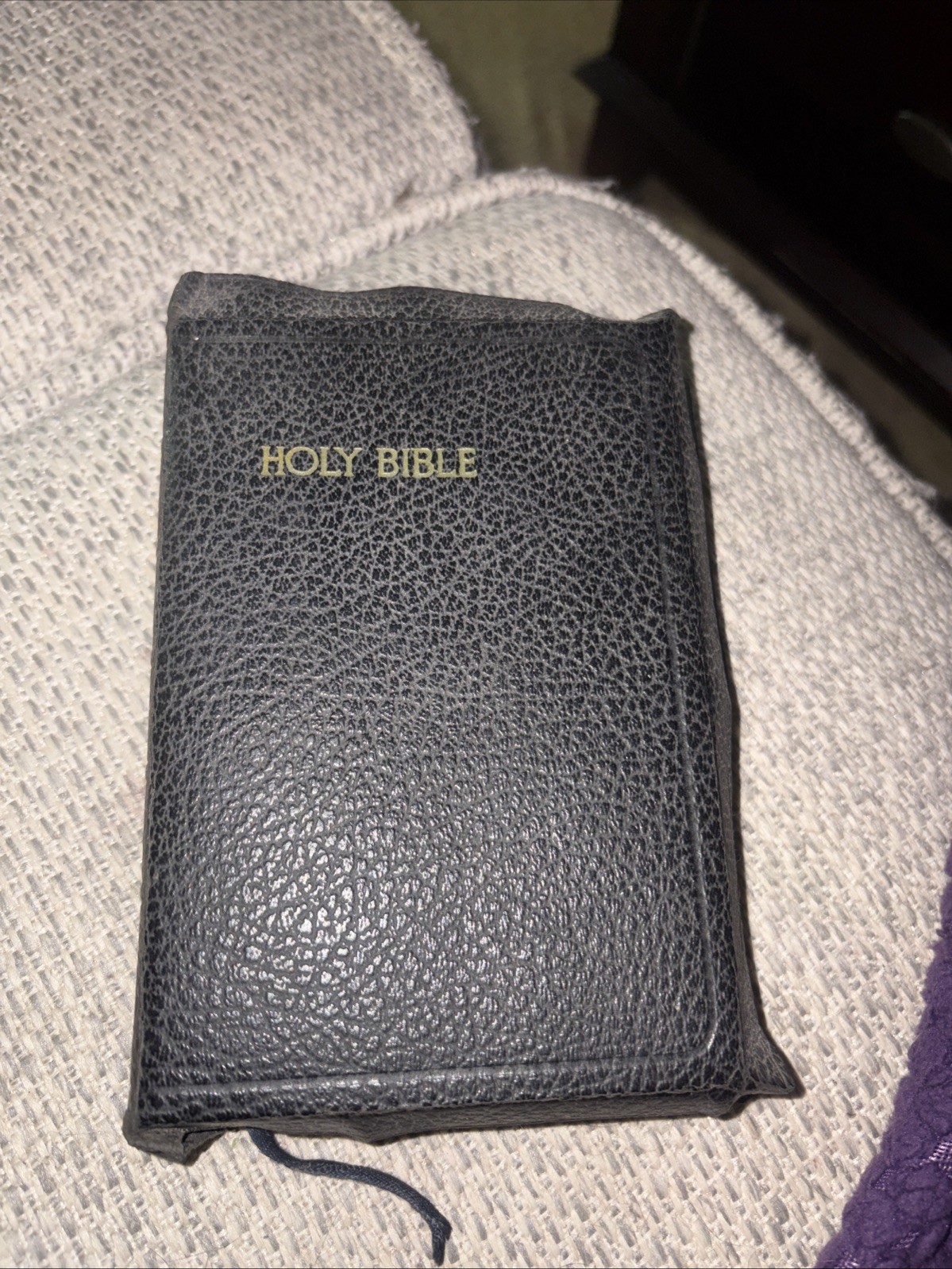 1901 Holy Bible Helps ASV Pronouncing Nelson Old New Testament Jesus God Church