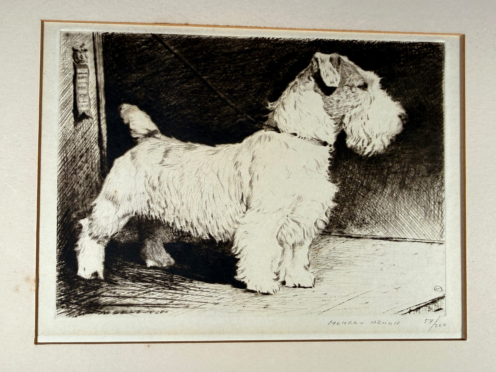 VTG MORGAN DENNIS SIGNED ETCHING CHAMPION JACK RUSSELL TERRIER EDITION 54/200