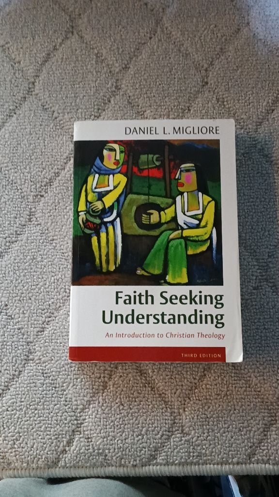 Faith Seeking Understanding Daniel L Migliore 3rd Edition Theology Book [VG]
