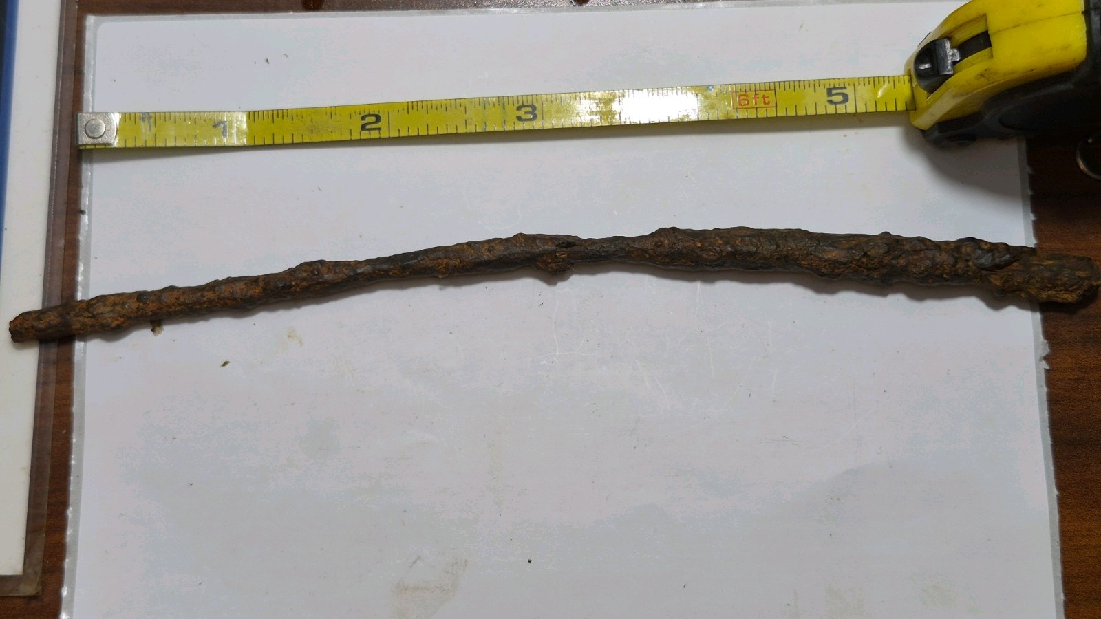 Archaeopteryx Toe Claw Fossil 