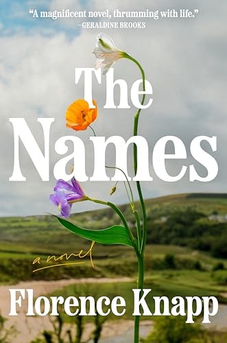 The Names A Novel - GOOD The Names A Novel - GOOD