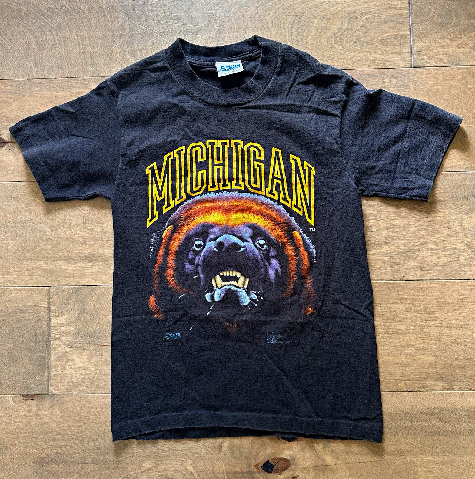 Vintage Michigan Wolverines Salem Sportswear 90s T-Shirt Small Intense Mascots