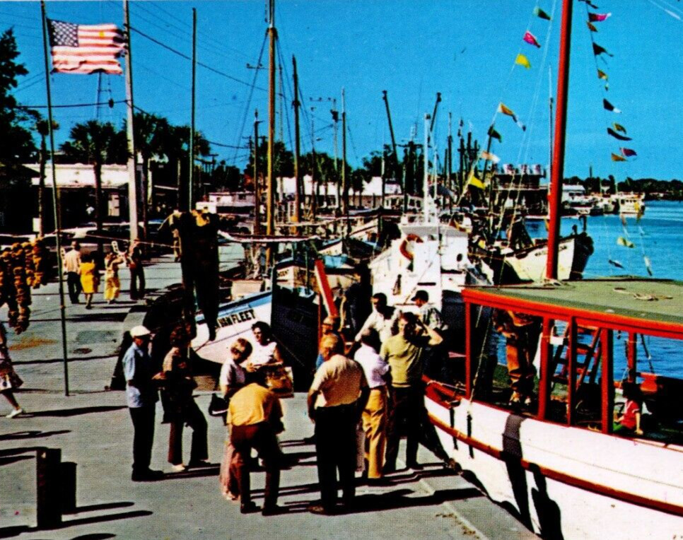 Tarpon Springs Florida Postcard Sponge Fleet Anclote River Curteich Ireland
