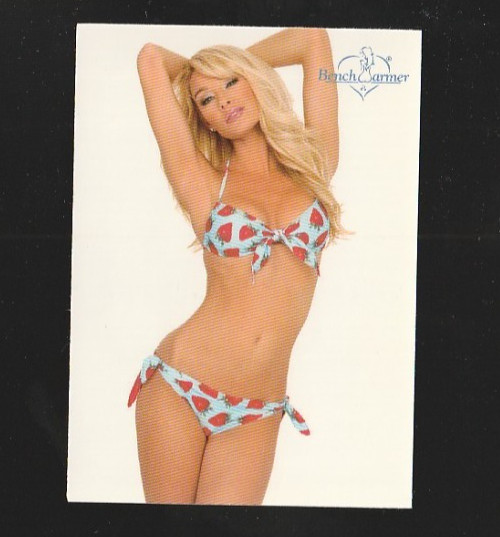 2003 Benchwarmer Lisa Gleave #108